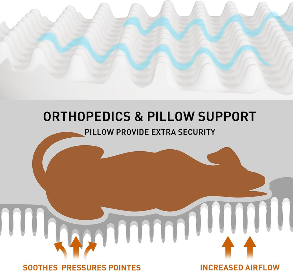 Extra Large Washable Dog Couch with Waterproof Removable Cover & Bolster Sides